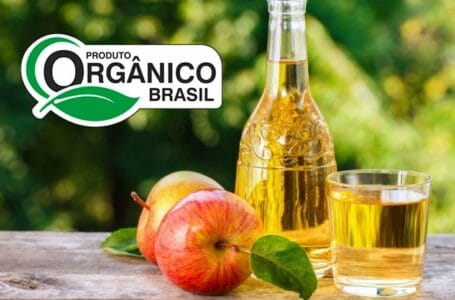 Para que serve vinagre maçã orgânico e seus benefícios