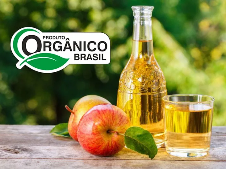 Para que serve vinagre maçã orgânico e seus benefícios