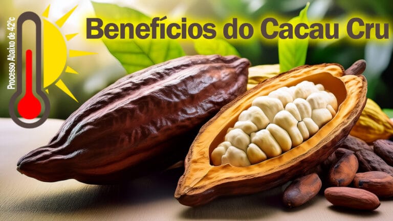 Benefícios de Cacau Cru