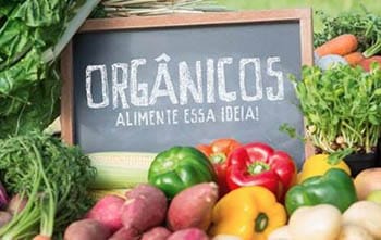 Feiras orgânicas na Cidade - Salvador - BA