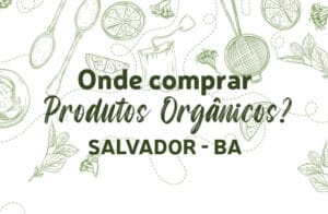 Onde encontrar produtos orgânicos em Salvador