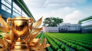 Melhores Fábricas de Produtos Naturais da Bahia