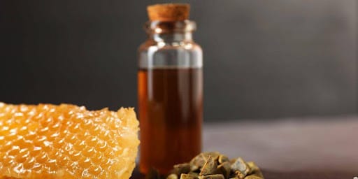 Favo de mel e mel dentro de um pote de vidro com tampa de madeira