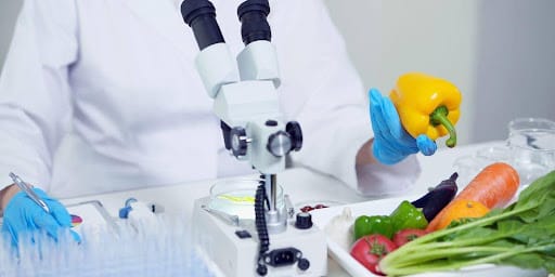 Cientista estudando alimentos como pimentão, cenoura, beringela e outros.
